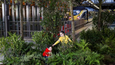 Eurostar has pledged to plant a tree for every train service that it operates across its routes